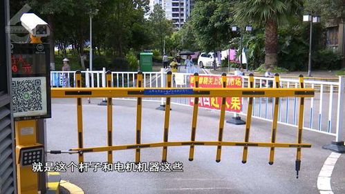 清晨惊魂 驾车撞开收费道闸的背后